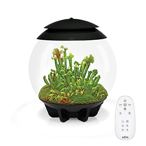 Terrariums — biOrb AIR Automated Acrylic Terrarium, Black