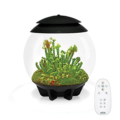 Terrariums — biOrb AIR Automated Acrylic Terrarium, Black
