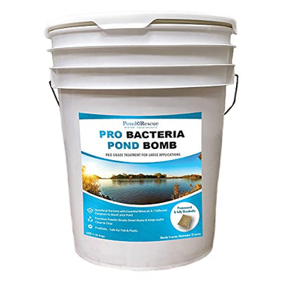 Water Treatment — Anjon Pro Bacteria Pond Bomb Pond Water Treatment