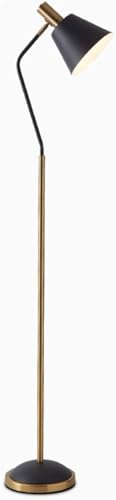 Floor Lamp，Floor Lamp for Living Room， Modern Standing Light Task Lighting Reading PianoBedroom Office Lamp
