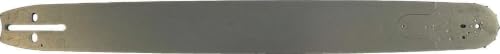 BIAODJUE 24D0PS3881C Chainsaw Bar 24",Replacement for Echo OEM