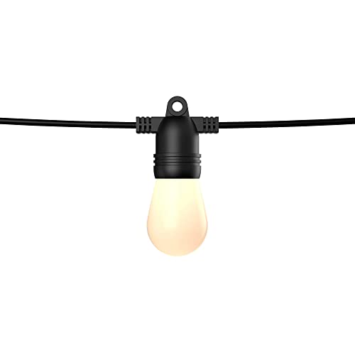 DALS Connect Pro 48 Foot Smart String Light