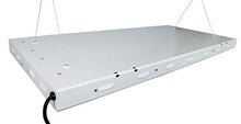 Sun Blaze HGC960487 T5 LED 48 - 4 ft Fixture, 8 Lamp, 240V - Indoor Grow Light Fixture For Hydroponic & Greenhouse Use, White
