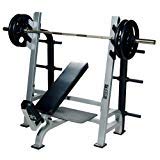 York Barbell Olympic Incline Bench with Gun Racks White