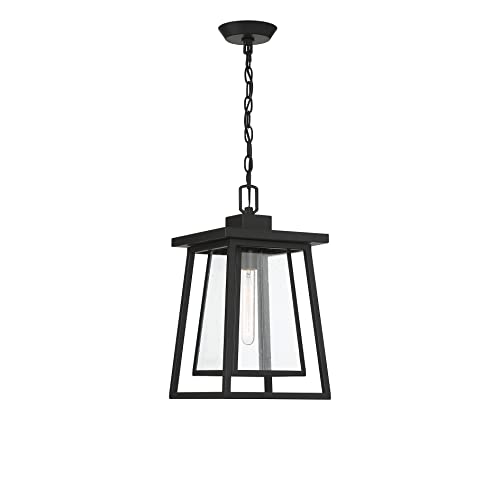 Savoy House 5-2025-BK Denver Mission Clear Seeded Glass Outdoor Hanging Lantern, 1-Light 60 Watt, 16" H x 8" W, Matte Black