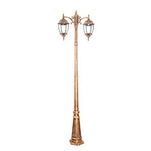 ZQHQYNQDFY Lamp Post Lights Outdoor, Double Head Outdoor E27 Lamp, Waterproof High Pole Street Light for Courtyard, Garden, Villa Community Landscape Lighting