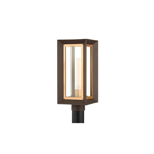 Troy Lighting Lowry 1-Light Post | Textured Bronze and Patina Brass Finish | Made of Aluminum & Glass | Wet-Rated for Outdoor Use | 7.5" Dia x 17" H | P4055-TBZ/PBR