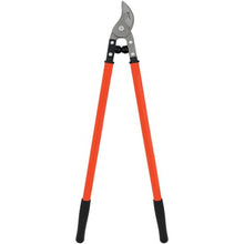 Zenport MV175 Professional Orchard and Landscape Tree Lopper 30-Inch Box of 12 Orange
