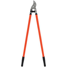 Zenport MV190 Professional Orchard and Landscape Tree Lopper 36-Inch Box of 12 Orange