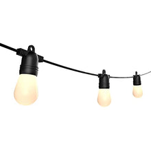 DALS Connect Pro 48 Foot Smart String Light