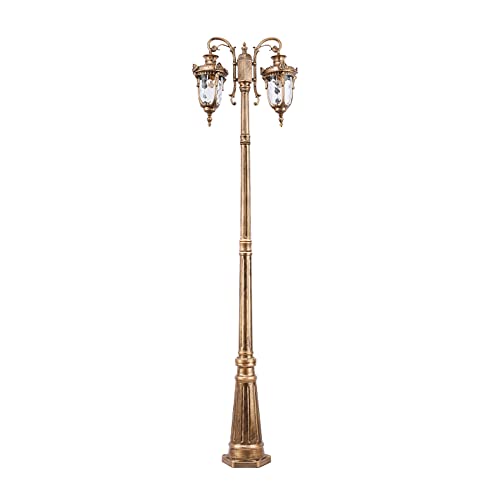 ZQHQYNQDFY Lamp Post Lights Outdoor, Outdoor Waterproof Double-Headed High Pole Lamp for Garden, Villa, Lawn, Street, Courtyard, and Park Lighting