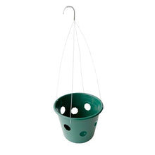 Mountain Valley Seed Co Bloom Master Hanging Baskets - 2 Gallon (48 Pack)