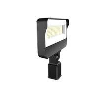RAB Lighting X34-150LSF-840/U Outdoor, Image