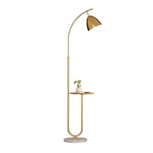 LUYOUBOZHU Floor Lamp Dimmable Floor Lamp with LED Bulb for Bedroom, Living Room, Office(Gold)
