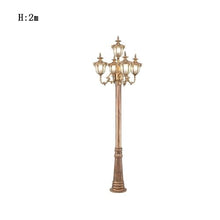 iumLeap 2M Traditional Victorian Outdoor Lamp Post Light,Five-Head, Brown Pole for Outside, Anti-Rust Aluminum Ip55 Glass Garden Lawn Path Column Light, Post Lantern E27 Base