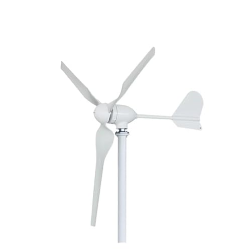 ASsdhgTE Energy3000W 12V/24V/48V Horizontal Axis Wind Turbine Generator Kit