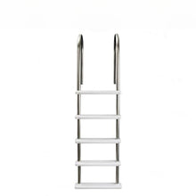 Above Ground Stainless Steel Swimming Pool Ladder