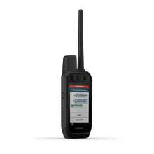 Garmin Alpha 300i Handheld Dog Tracking & Training System Bundle with 4X TT25 Collars Black