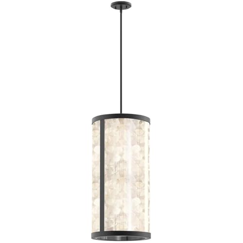 The Great Outdoors Salt Creek 1-Light Black LED Outdoor Pendant Light with Clear Acrylic Shade and Quartz Crystalline Inserts 8186-66A-L