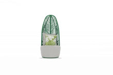 Whiteline Modern Outdoor Living Basil Chair with Grey Aluminum Base and Matte Green Back Rest