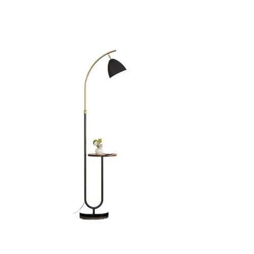 LUYOUBOZHU Floor Lamp Dimmable Floor Lamp with LED Bulb for Bedroom, Living Room, Office(Black)
