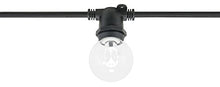 American Lighting Commercial Grade Light String 330-Foot 264-Intermediate Base Sockets Black