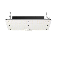 VGVGV Board LED Grow Light Full Spectrum Phyto Lamp for Greenhouse Growing Indoor Plants Vegetables Growth Durability, Efficience(40W)
