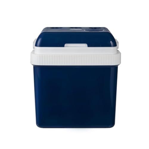 AWMGPDDBTO Mini Fridge 24L Portable Car Cooler