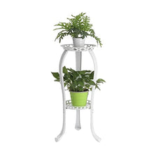 iumLeap Plant Stand 2 Tiers Flower Rack Garden Metal Plant Stand Holder Flower Pot Rack Display Shelf Indoor Outdoor Home Decoration