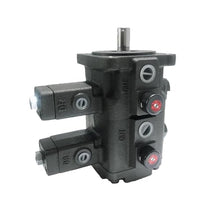 YUANFANNN Double Pump Low Pressure Machine Pump(VCM-DF-12B-12B-10)