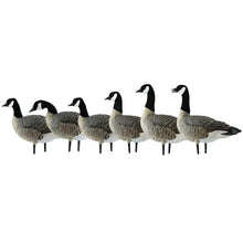 Avian-X AXP Honkers Fusion Pack Lesser Canada Goose Decoys 2 Pack