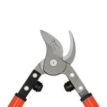 Zenport MV175 Professional Orchard and Landscape Tree Lopper 30-Inch Box of 12 Orange