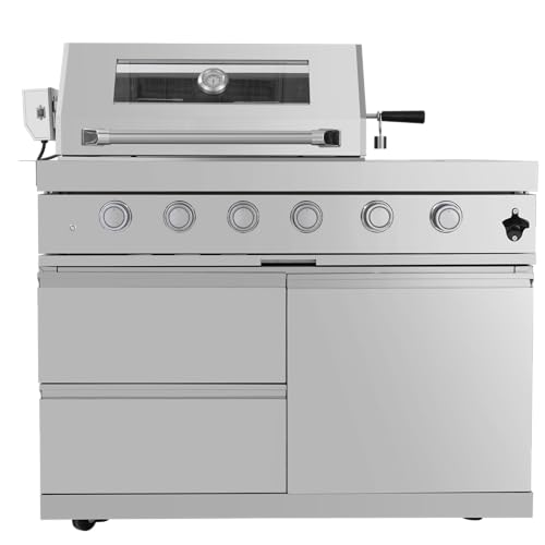Outdoor Gas Grill with Infrared Rear Burner, Electric Motor Rotisserie, Temperature Gauge, Light Control Knobs, Double Drawer Storage, Side Burner, Pull-Out Grease Tray,990sq.in Cooking Area (Silver)