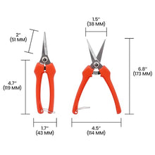 Zenport H306S Euro Style Harvest Shear Straight Blade, 2.5 Inch Stainless Steel Blades, Orange - 60 Pack