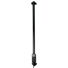 LENCO MARINE 12V 47"-73" Hatch Lift w/o Switch Black