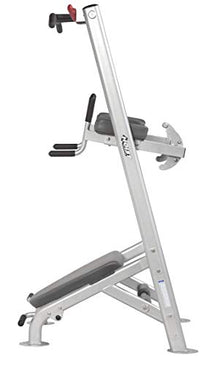 HOIST Fitness Dip Station & Pull Up Bar Platinum