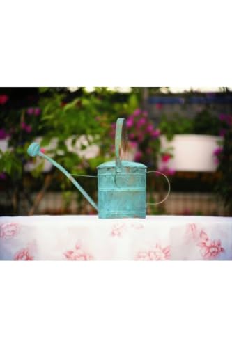 Handmade Copper Watering Can, Gardener Model, Green Oxide Finish, 7.5 in Pot Height, 7.1 in Pot Diameter, Pure Copper, Refined Garden Tool