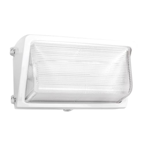 RAB Lighting WP3LED55W/480 Outdoor, Image
