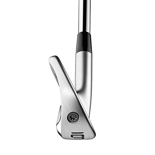 TaylorMade P770 Iron Set Titanium