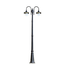 Lights Outdoor Black High Pole Street Light E27 Super Bright Outdoor Lighting Landscape Post Lamp Professional IP65 Waterproof Aluminum Alloy Street Lamp with Acrylic Lampshade Stadium (Color : 2-Ligh