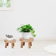 NSUQOA JSEIAJB Bonsai Flower Pot Shelf Base Plant Stand Wooden Holder Garden Stool Succulent Display Balcony Standing Indoor Outdoor(L)