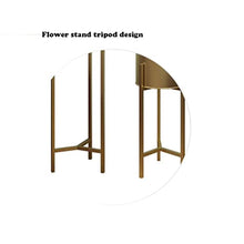 MIIKHI Plant Stands,Wrought Iron Storage Flower Stand,Indoor Floor Standing Flower Pot Green Radish Racknishings/Gold/S+L