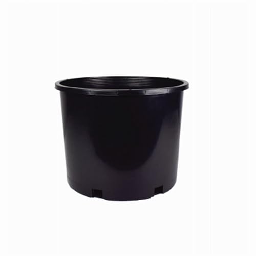 Green Thumb NP7 7 Black Plastic Nursery Container 6.24 Gallons