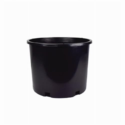 # 7 Black Plastic Nursery Container/Grower Pot (30)