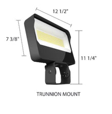 RAB Lighting X34XXLT Adjustable General Purpose Flood Light, 3000K/4000K/5000K Selectable, 120/140/160W Adjustable, 0-10V Dim to 10%, Dusk to Dawn Photocell, 120-277V, Trunnion Mount, Bronze