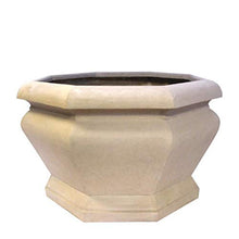 Anderson Teak Jardienere Large Octagonal Planter White Teak Natural