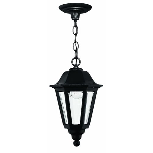 Bailey Street Home Outdoor Lantern in Traditional Style 8.75 inches Wide by 15 inches High Traditional Outdoor Hanging 81-Bel-558059