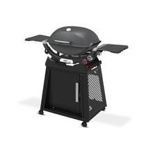 Weber® Q 2800N+ Portable Grill with Stand, Propane Grill, Charcoal Grey