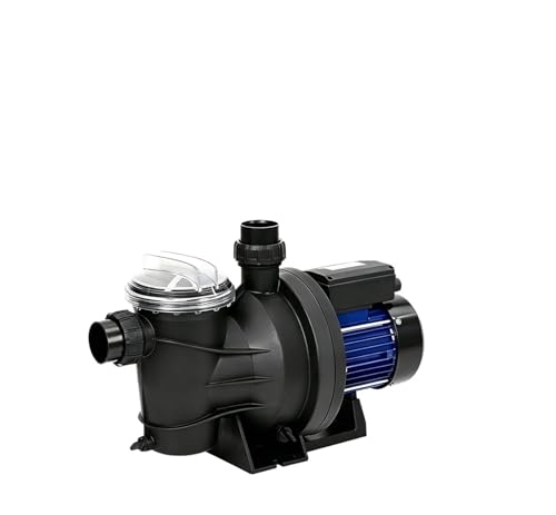 1.2HP DC/AC Hybrid Solar Pool Pump, 21 m³/h, 19m Head for Swimming Pool Circulation