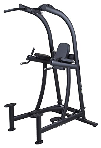 SportsArt Fitness VKR Chin Dip Station Free Weight Performance